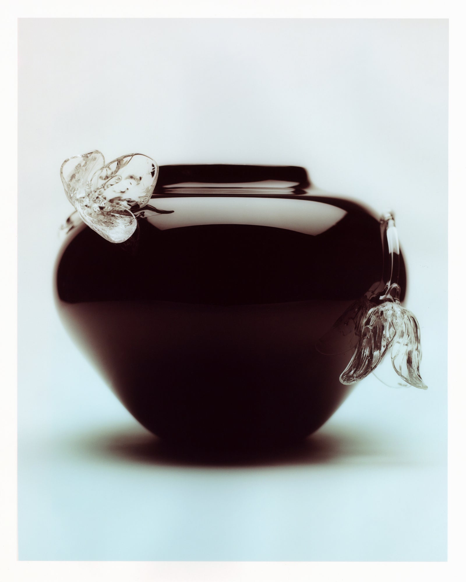 on shooting tulipa →