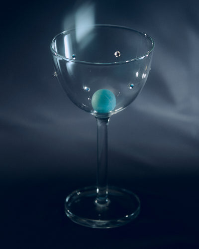 Firenze Nick & Nora Glass Set - Clear w/ Swarovski Crystal - Editorial Three