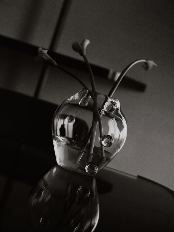 La Lumière Vase