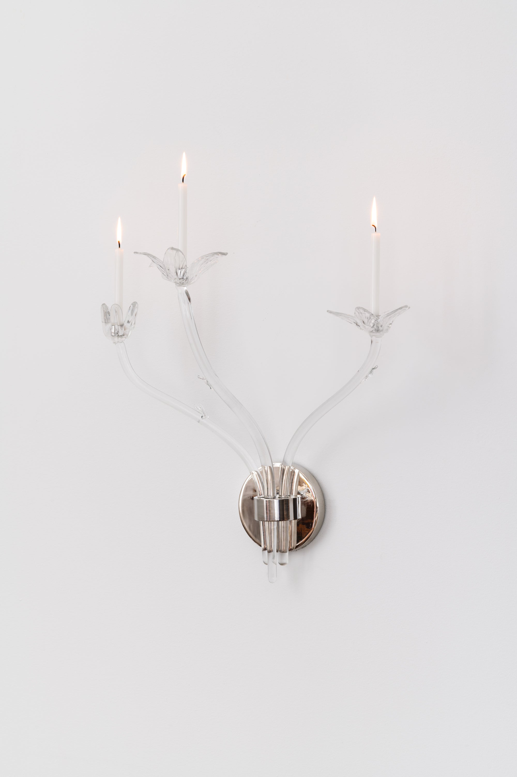 Tulipa Sconce