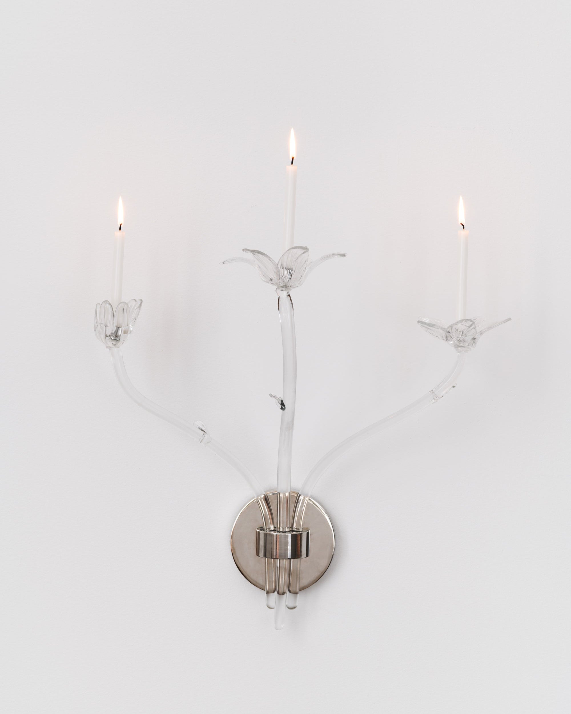 Tulipa Sconce