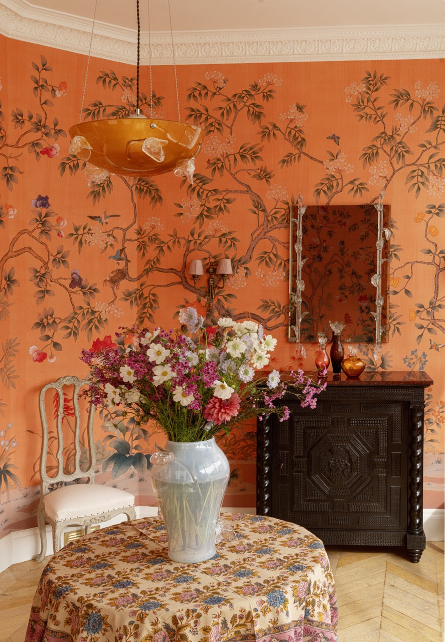 explore collectibles ➔