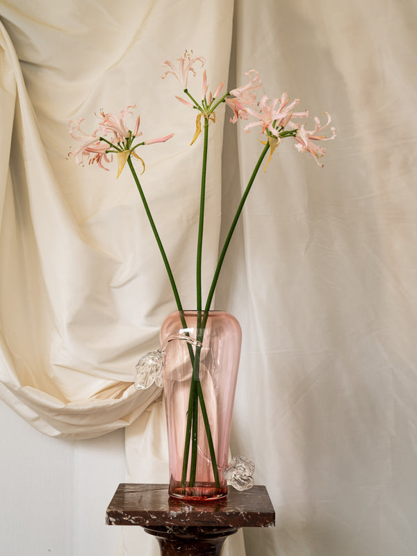 Tulipa Flute