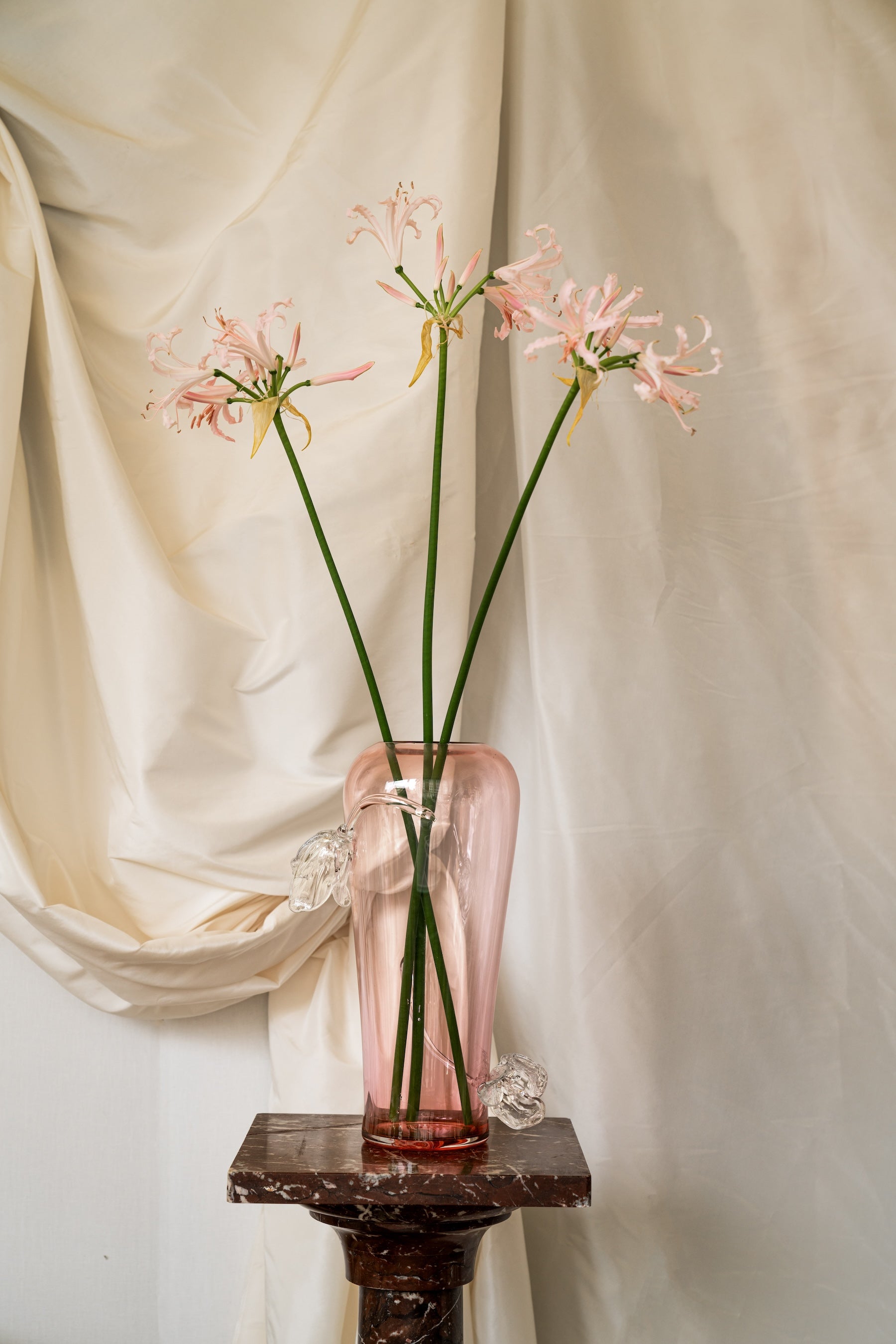 Tulipa Flute