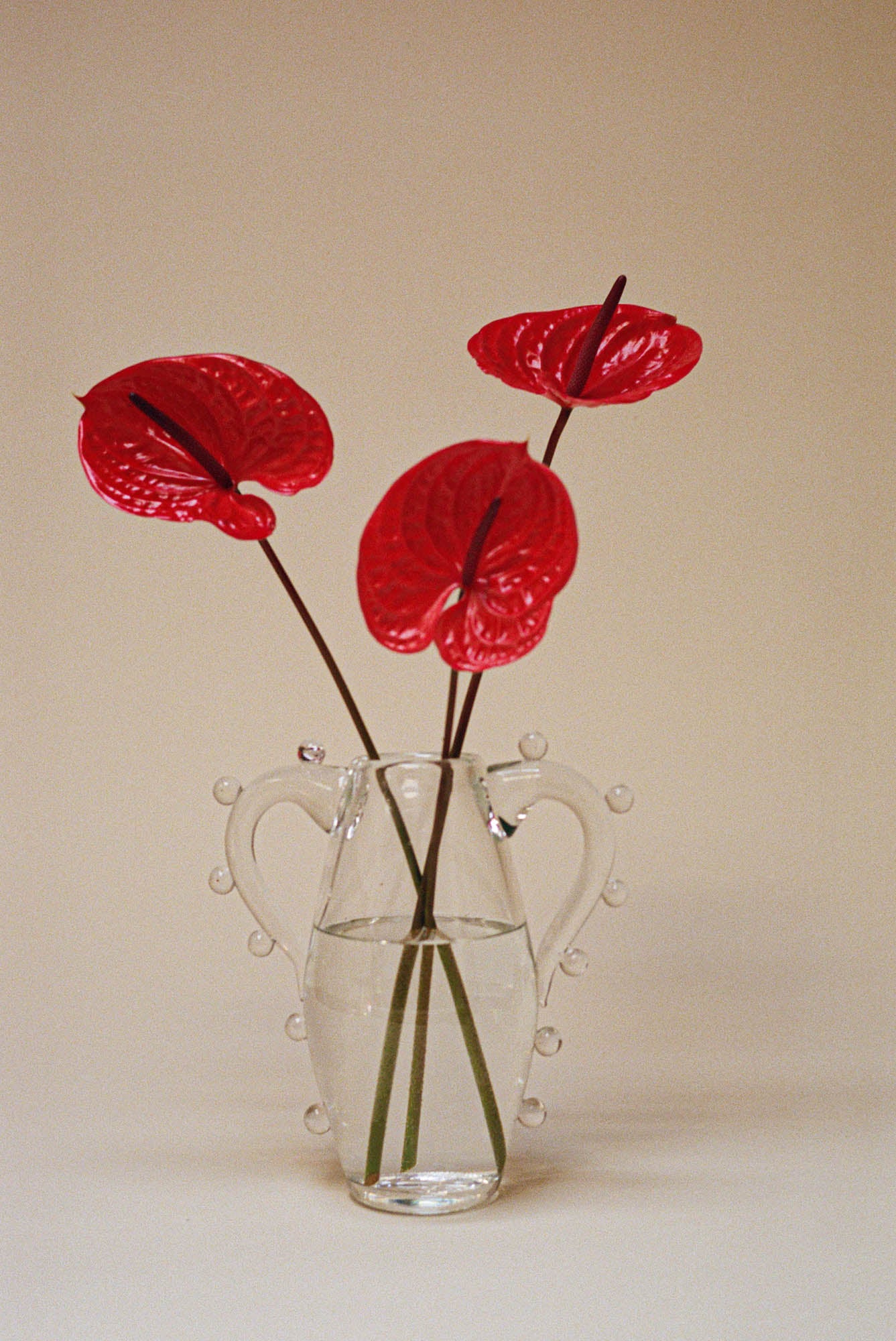 La Vitalité Vase