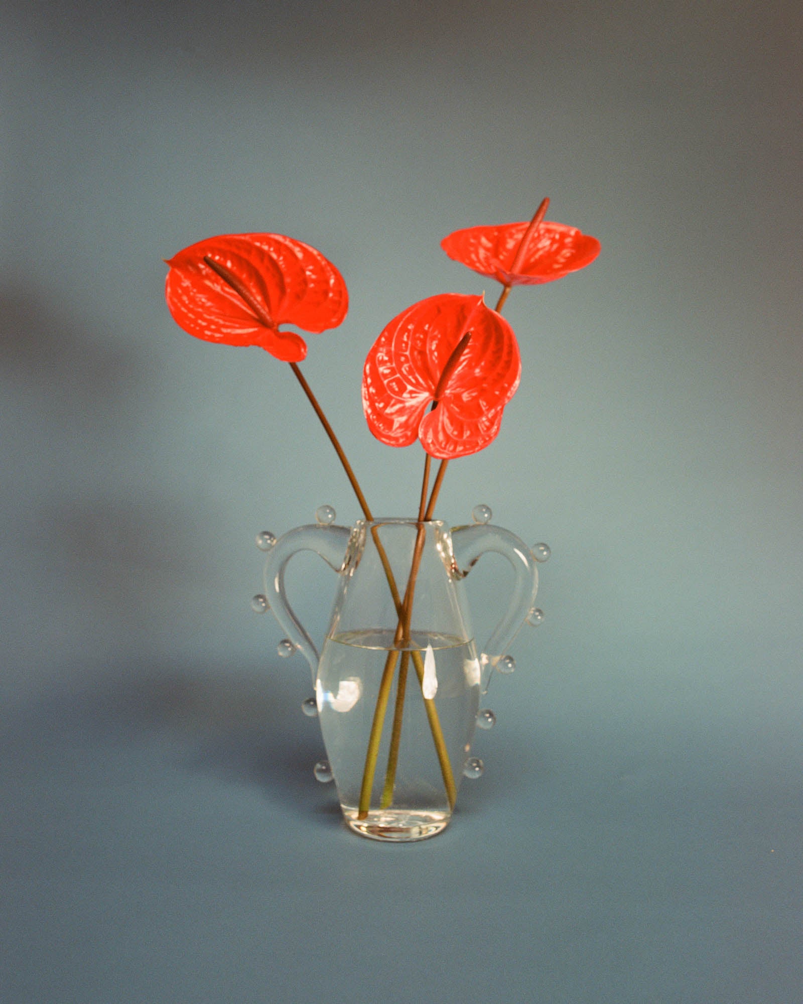 La Vitalité Vase