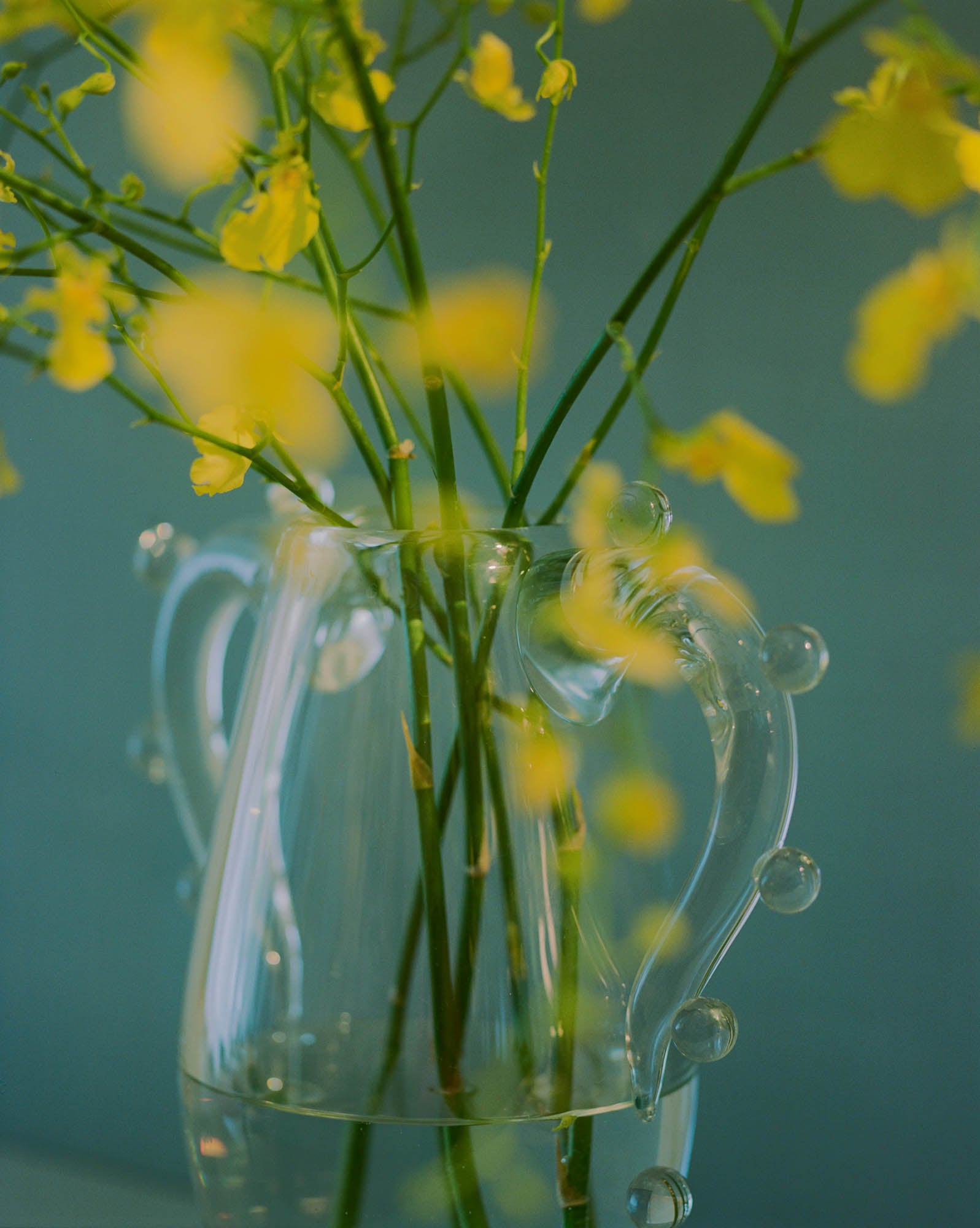 La Vitalité Vase